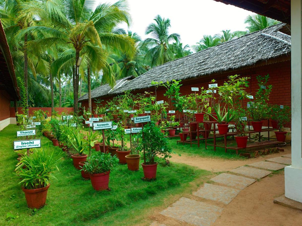 The Nattika Beach Resort Thrissur Exterior foto